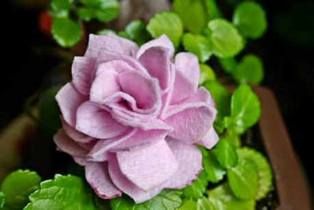 GORRO, BUFANDA Y BROCHES....EL CONJUNTO COMPLETO!!!