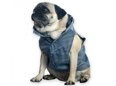 8 impresionantes DIY reciclando tejanos/vaqueros (con tutoriales) 8 impresionantes DIY reciclando tejanos/vaqueros (con tutoriales)