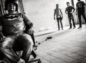 Tiger Menja Zebra, sorprendentes