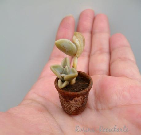 Esas pequeñas cosas