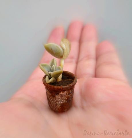 Esas pequeñas cosas