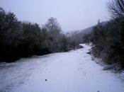 Caminos invierno