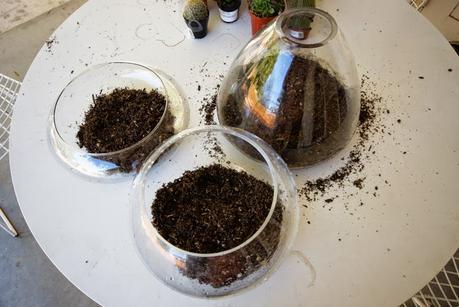 diy-centros-de-mesa-cactus-suculentas