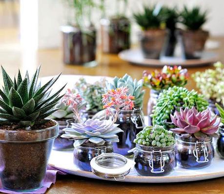 diy-centros-mesa-cactus-suculentas-L-psz