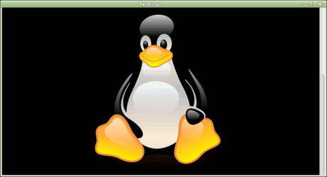 Terminal Linux verde