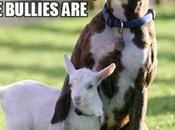 Cosas hombres supuestamente machistas gustan importándome pepino digan