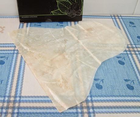 Review: Ultimate Body Applicator (Parcheloko)