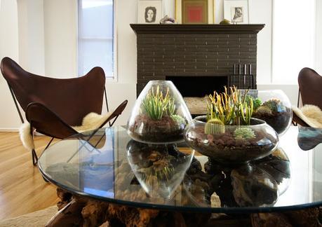 diy-centros-de-mesa-cactus-suculentas diy-centros-de-mesa-cactus-suculentas