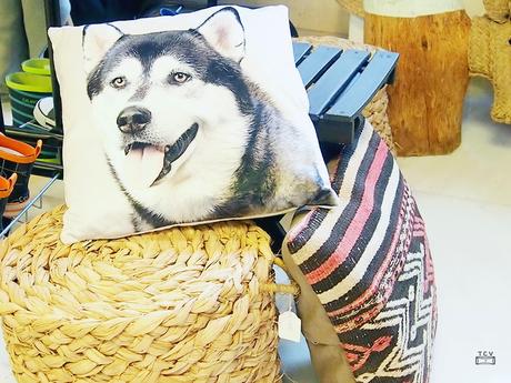 Exposición eventual de Tu Cajon Vintage Shop