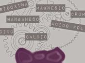 Diez nutrientes para nuestro cerebro