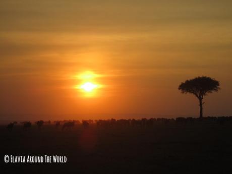 Puesta de sol en Masai Mara