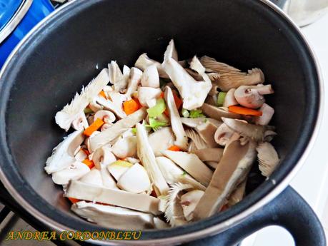 BIELORRUSIA. SOPA GRIBNOY. ANDREA POR EL MUNDO. RECETA VEGANA.