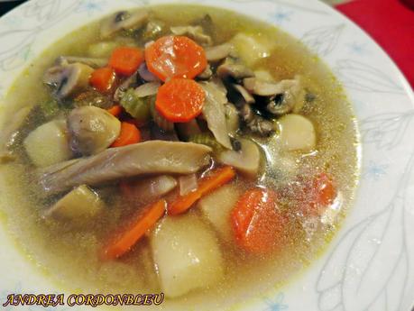 BIELORRUSIA. SOPA GRIBNOY. ANDREA POR EL MUNDO. RECETA VEGANA.