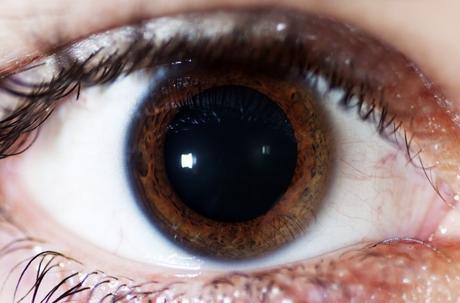 Macrofotografía del ojo humano Ojo-01