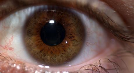 Macrofotografía del ojo humano ojo-sin-dilatar