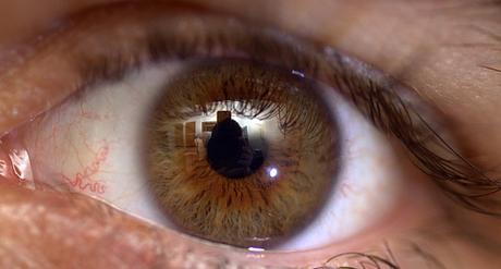 Macrofotografía del ojo humano iris-brutal-de-bien