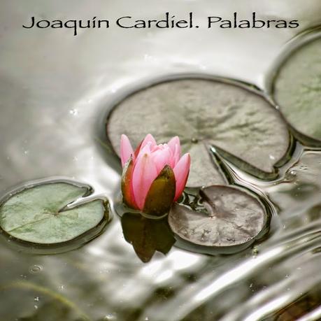 Joaquín Cardiel: Esa presunta garra