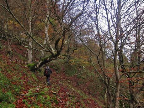 CUYARGAYOS (CIRCUITO DESDE EL EMBALSE DE TANES)