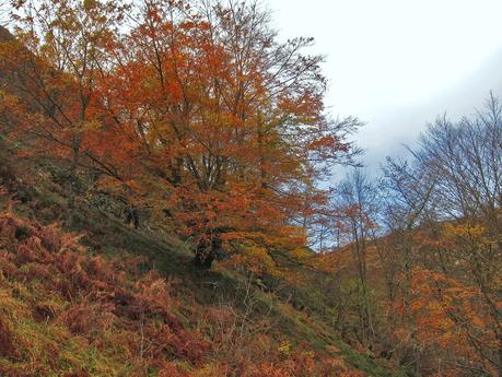 CUYARGAYOS (CIRCUITO DESDE EL EMBALSE DE TANES)
