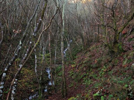 CUYARGAYOS (CIRCUITO DESDE EL EMBALSE DE TANES)