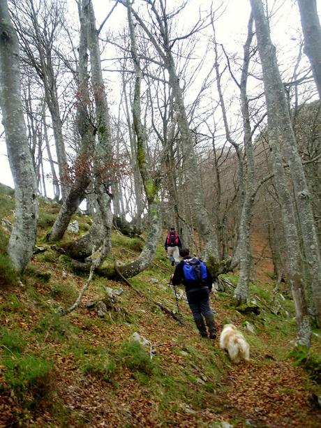 CUYARGAYOS (CIRCUITO DESDE EL EMBALSE DE TANES)
