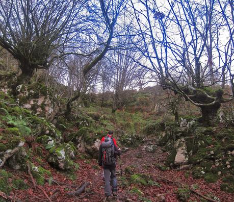CUYARGAYOS (CIRCUITO DESDE EL EMBALSE DE TANES)