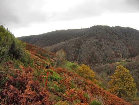 CUYARGAYOS (CIRCUITO DESDE EL EMBALSE DE TANES)