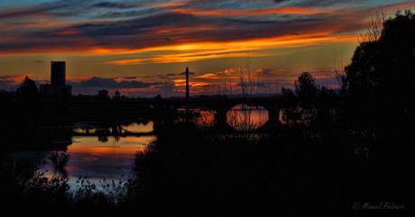 Desde el puente de Palmas