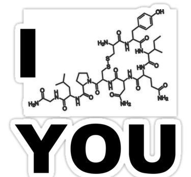 Descubren que la oxitocina, la “hormona del amor”, combate los efectos del alcohol