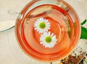 ¿Qué extracto estandarizado?