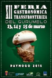 FERIA GASTRONÓMICA  DEL GURUMELO DE PAYMOGO ( HUELVA) 2.015