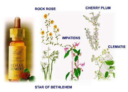 Flores de Bach y otros remedios para no comer compulsivamente crisi_rescue_remedy
