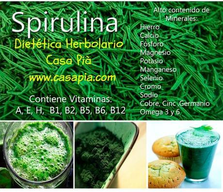 Espirulina, “el alimento del milenio” según la ONU spirulina1