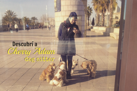 Descubri a Cherry dog sitter barcelona cherry adam