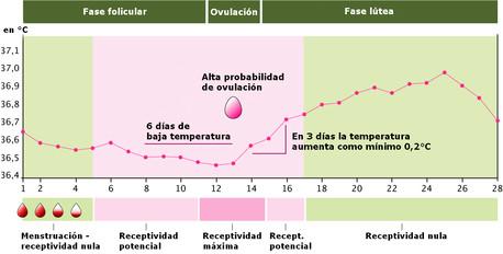 dias mas fertiles