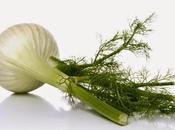 Alimentación recetas XXIV