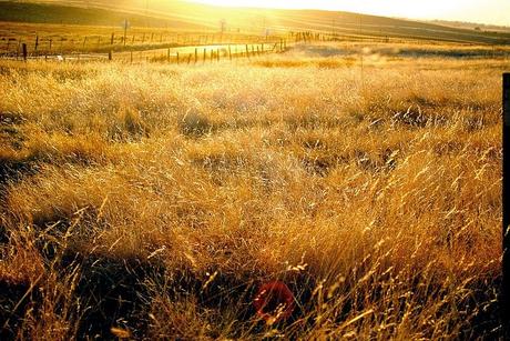 El océano al final del camino (Neil Gaiman)