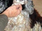 vida sido infierno, menos acogida juntos (están Madrid)