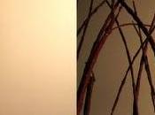 Decorar flores pom. Cómo hacen