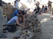 Analizan década exhumaciones