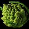 fractal de un brócoli Romanesco