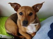 busca alguien especial para Kara. (Zaragoza)