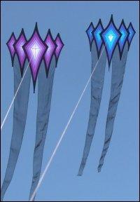 LAS COMETAS DE ROBERT BRASINGTON - TASMANIA -