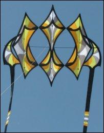 LAS COMETAS DE ROBERT BRASINGTON - TASMANIA -