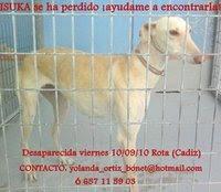 Isuka, ha aparecido