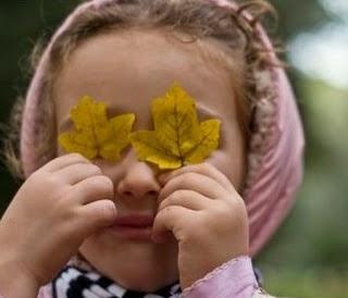 Ecología    y   Palabras