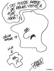 Las células madre se coronan como nuevo hito en la historia de la medicina