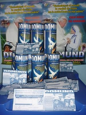 ¿CÓMO SE DISTRIBUYEN LOS APORTES DEL DOMUND?