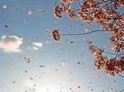 Antiguo saludo Celta"Que camino salga encuentroqu...