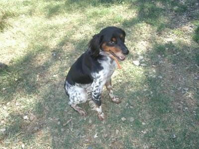 Freddy, se merece todo lo que hasta ahora no ha tenido.